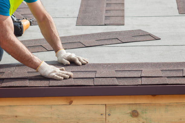 Best Asphalt Shingle Roofing  in Trinity, TX